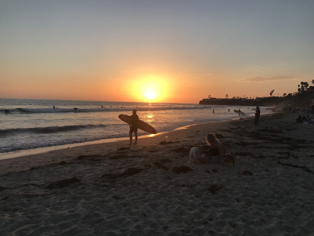 a surfer on the beach gazes at the sunset